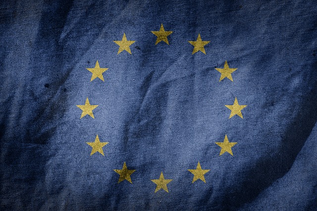 eu-flag-1463476_640