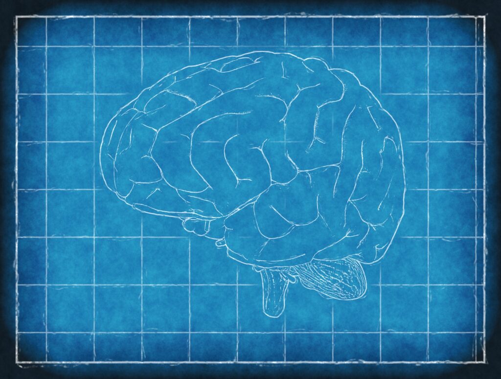 brain-blueprint