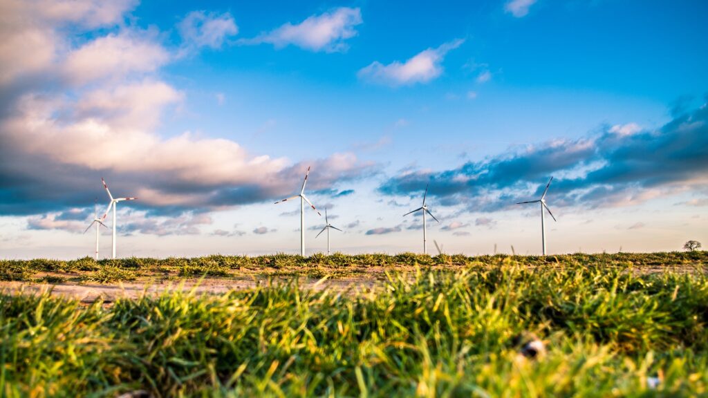 wind-farm-renewable-energy