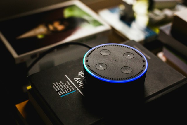 Voice Payment Technology