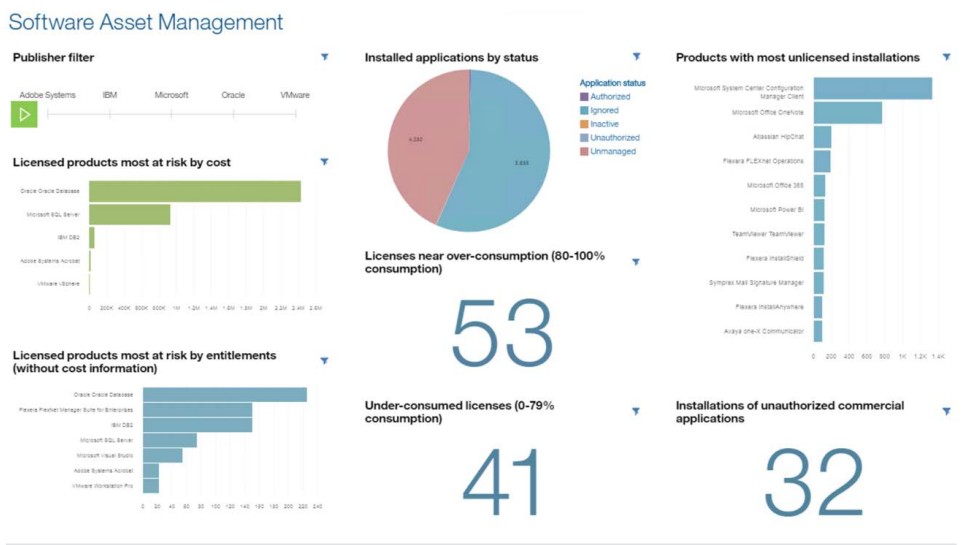 Flexera Flexnet Manager IT Asset Management.