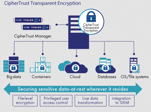 Thales CipherTrust Transparent Encryption