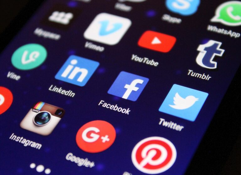 A mobile screen showing different digital social media platforms - digital services act.