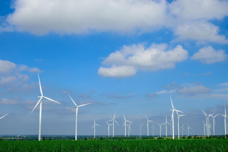 A field of wind energy turbines and the collapse of Enron.